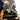 Dodge 8HP95 Trackhawk, AWD till RWD-konverteringsadaptersats - 1357